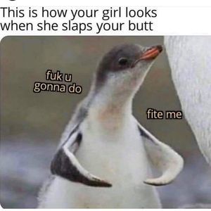 Meet your Posher, Mae